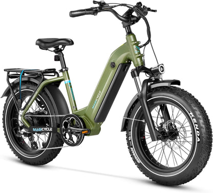 Electric Bike for Adults 750W 52V