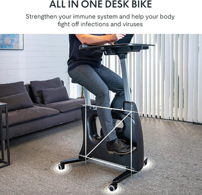 Exercise Bike Standing Desk